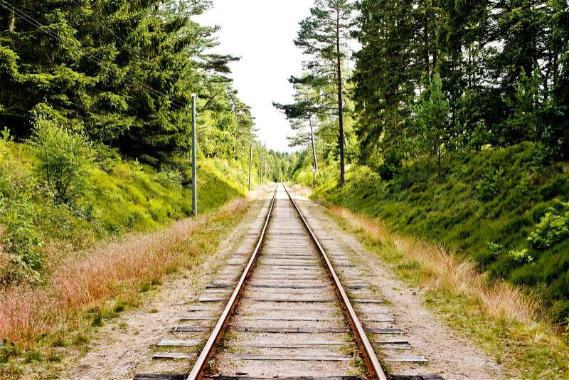 Railroad tracks going through a forest | Stock Photo | Colourbox