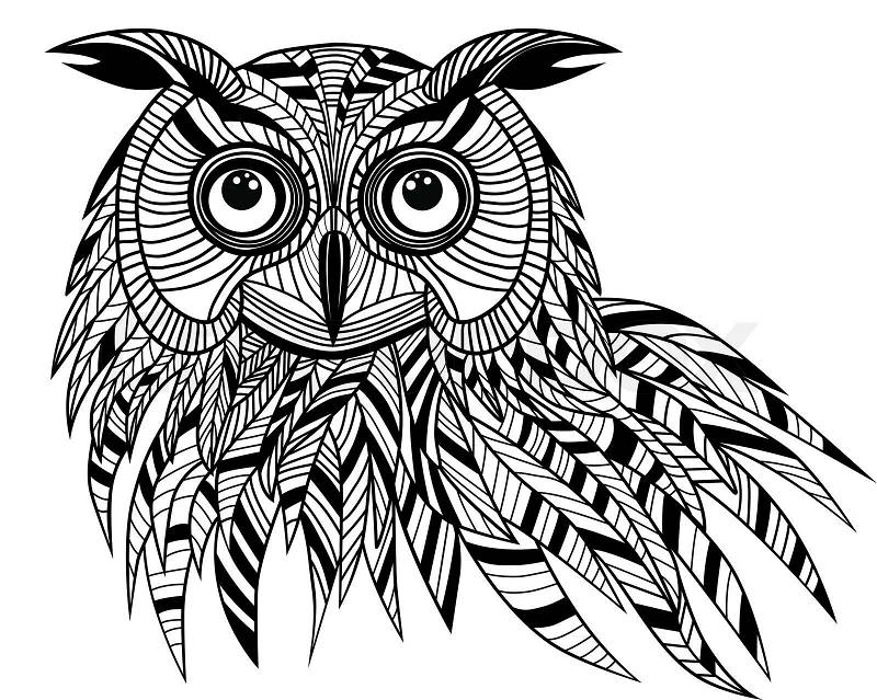 owl mascot clipart - photo #36
