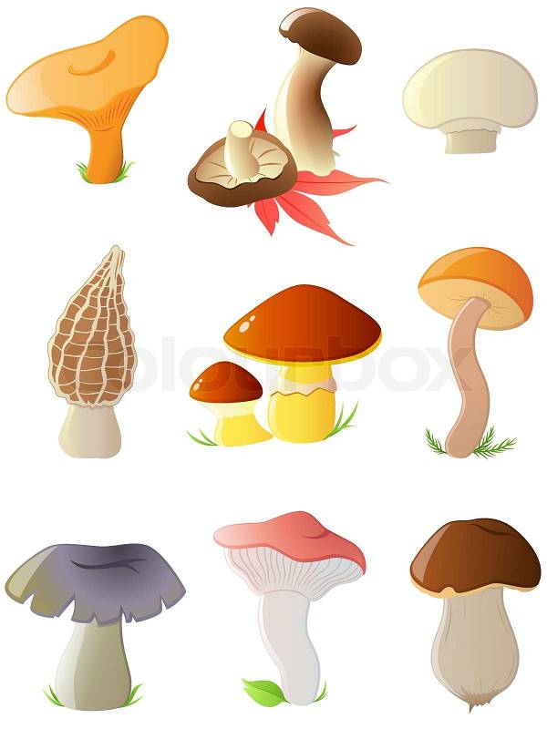 vector free download mushroom - photo #26