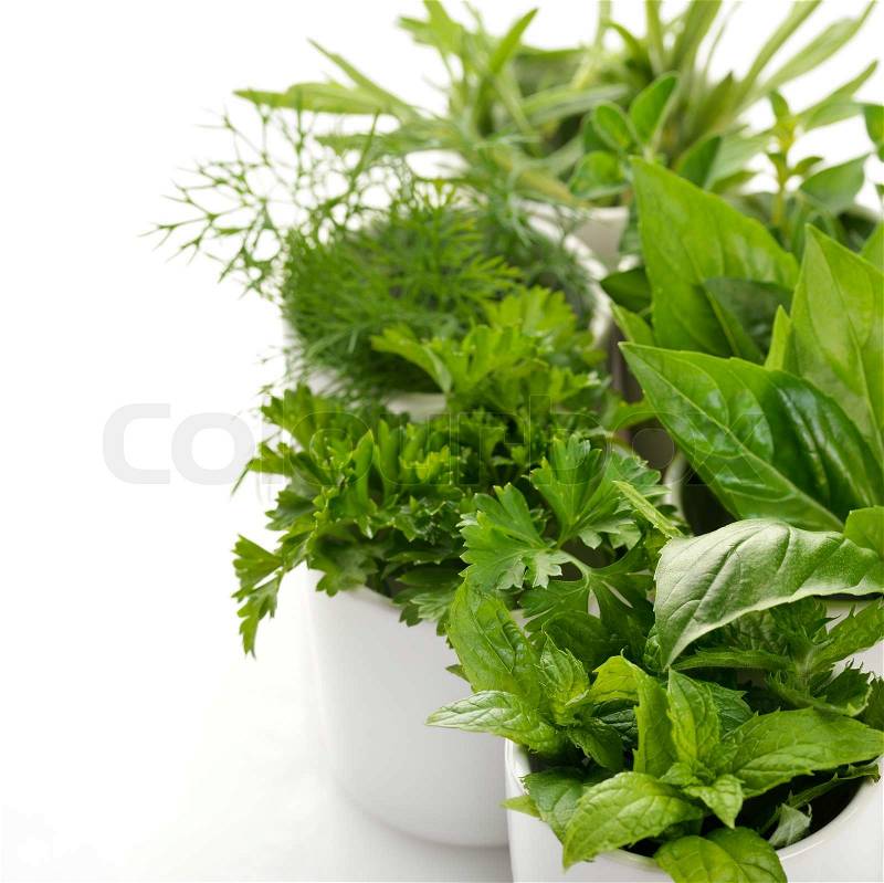 Fresh Herbs Stock Photo Colourbox